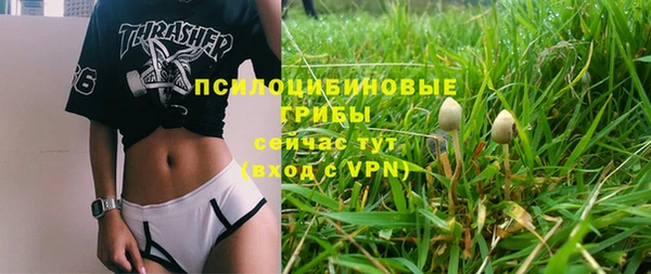 мдпв Лиски