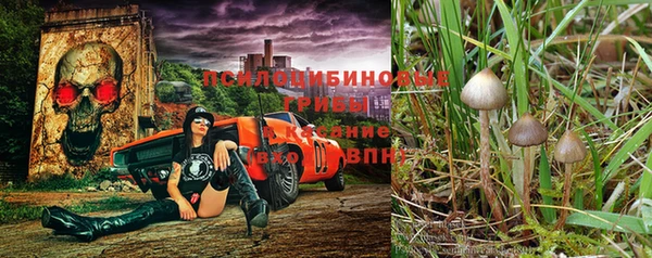 мдпв Лиски