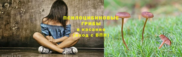 мдпв Лиски