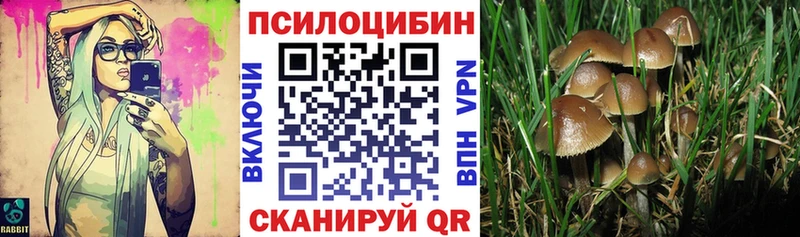 Псилоцибиновые грибы ЛСД Михайловка
