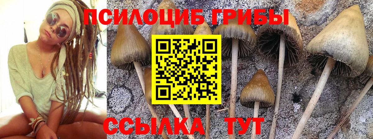 Галлюциногенные грибы Magic Shrooms Михайловка