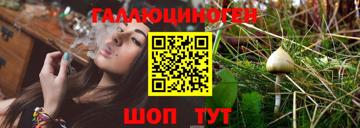 Михайловка  Псилоцибиновые грибы GOLDEN TEACHER  Вход с VPN  Галлюциногенные грибы мицелий 
